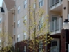 Archstone Apartments – Stamford, CT